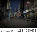 夜の繁華街 123406054