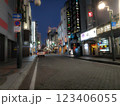 夜の繁華街 123406055