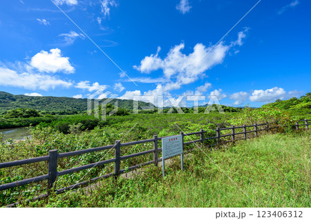 石垣島の自然、西表石垣国立公園の自然風景 123406312