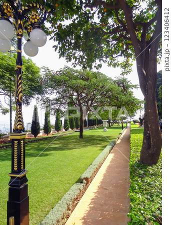 Path in the park with flowers and palm trees on a sunny summer day. 123406412