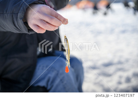 釣れたわかさぎ 123407197