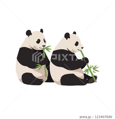 Two playful pandas enjoying bamboo in flat vector illustration 123407680