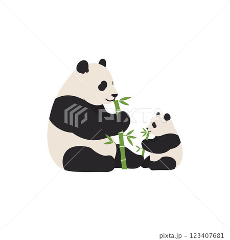 Cute panda family enjoying bamboo in flat vector illustration 123407681