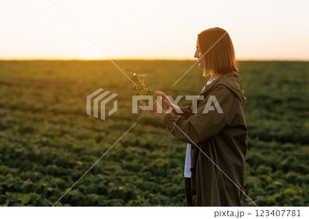 Female farmer with digital tablet holds soya plant, examines and checkins at field. Agronomist controls the growth and development of sprouts before harvesting. Smart farming soybean technology. Female farmer with digital tablet holds soya plant, examines and checkins at field. Agronomist controls the growth and development of sprouts before harvesting. Smart farming soybean technology. 123407781