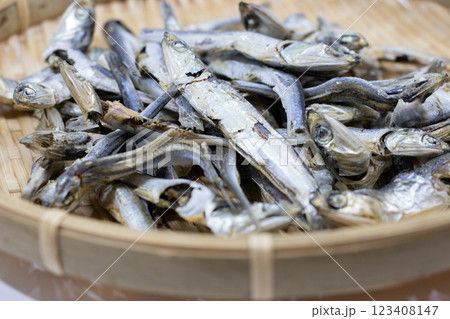 煮干し 煮干し 123408147
