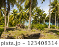 Natural tropical landscape of palm trees, on a sunny day south of the island of Pulau Weh, Sumatra, Indonesia 123408314