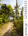 A path crosses a landscape of tropical palm trees, on the island of Pulau Weh, Sumatra, Indonesia 123408315