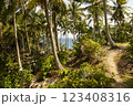 A path crosses a landscape of tropical palm trees, on the island of Pulau Weh, Sumatra, Indonesia 123408316