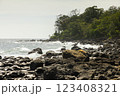 Landscape of a rocky beach covered by tropical jungle, south of the island of Pulau Weh, Sumatra, Indonesia 123408321