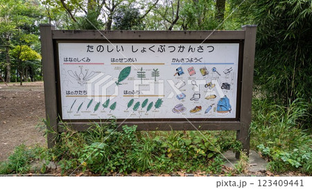 林試の森公園内の植物についての看板 123409441