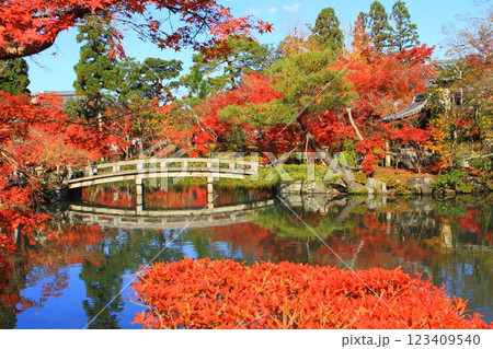 秋の永観堂（京都市） 123409540