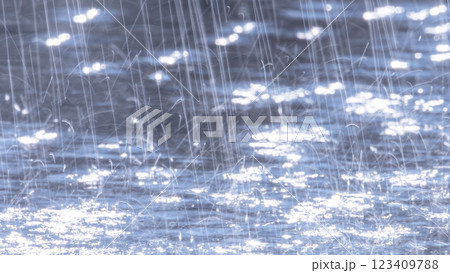激しく降る雨のイメージ 123409788