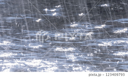 激しく降る雨のイメージ 123409793