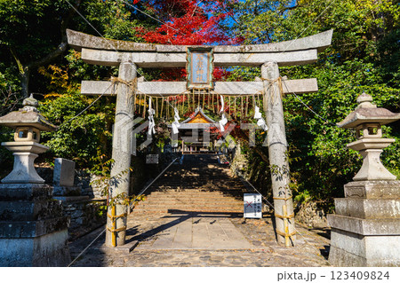 京都市左京区岩倉上蔵町　石座神社（いわくらじんじゃ）山住神社　鳥居 123409824