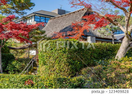 京都市左京区岩倉上蔵町　岩倉具視幽棲旧宅　主屋（隣雲軒）と紅葉 123409828