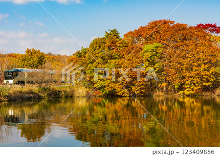 紅葉の大沼公園を走るTRAIN SUITE 四季島 123409886