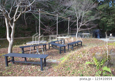 誰もいない公園のベンチ 誰もいない公園のベンチ 123410954