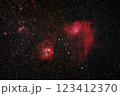 ぎょしゃ座の星雲 123412370