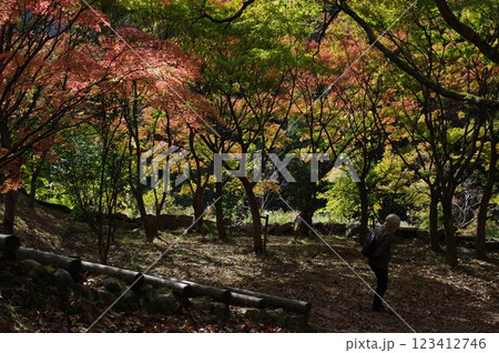 紅葉燃ゆる秋 紅葉燃ゆる秋 123412746
