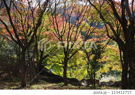 紅葉燃ゆる秋 紅葉燃ゆる秋 123412757