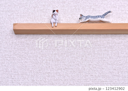 キャットウォーク 123412902