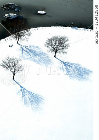 雪の降った朝 123412969