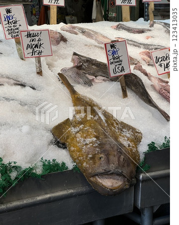 市場の氷の上に並ぶ鮮魚とアンコウ 市場の氷の上に並ぶ鮮魚とアンコウ 123413035