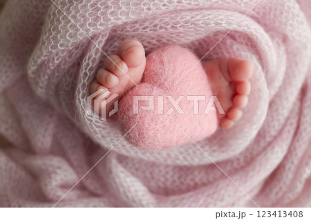 Soft feet of a new born in a wool pink blanket. Closeup of toes, heels and feet of a newborn. Knitted pink heart in the legs of baby. Macro studio photography The tiny foot of a newborn baby. Soft feet of a new born in a wool pink blanket. Closeup of toes, heels and feet of a newborn. Knitted pink heart in the legs of baby. Macro studio photography The tiny foot of a newborn baby. 123413408
