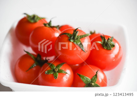 ミニトマト ミニトマト 123413495