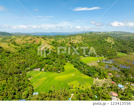 Paddy rice fields and farmlands in tropical island. Santa Fe, Tablas, Romblon. Philippines. Paddy rice fields and farmlands in tropical island. Santa Fe, Tablas, Romblon. Philippines. 123413556