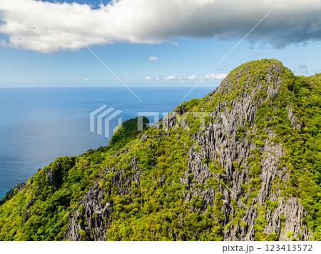 Cadlao Island with limestone mountain and plants. El Nido, Palawan. Philippines. 123413572