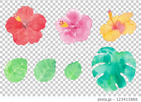 一套芙蓉花和樹葉手繪水彩插畫 一套芙蓉花和樹葉手繪水彩插畫 123413868