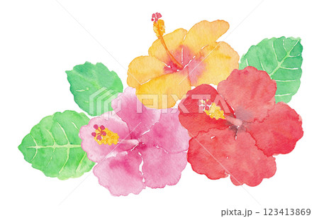カラフルなハイビスカス　手描き水彩イラスト 123413869