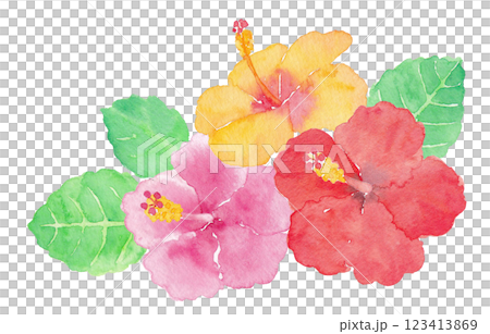 カラフルなハイビスカス　手描き水彩イラスト 123413869