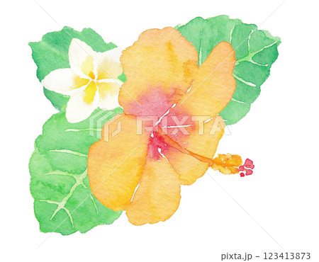 横向きのハイビスカス 手描き水彩イラスト 横向きのハイビスカス 手描き水彩イラスト 123413873