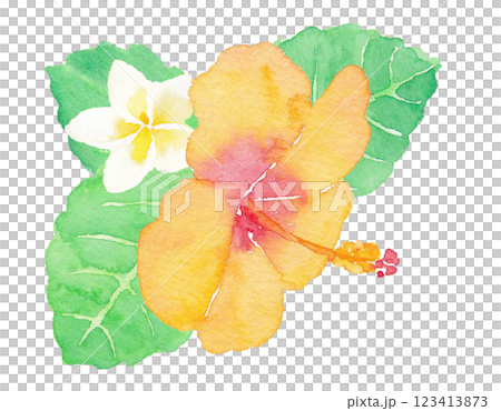 山水芙蓉手繪水彩插畫 123413873