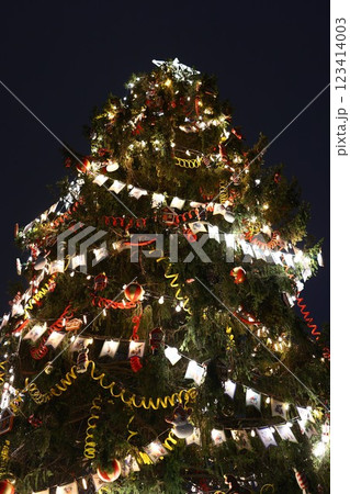A Beautifully Decorated Christmas Tree Bringing Festive Joy and Light at Nighttime 123414003