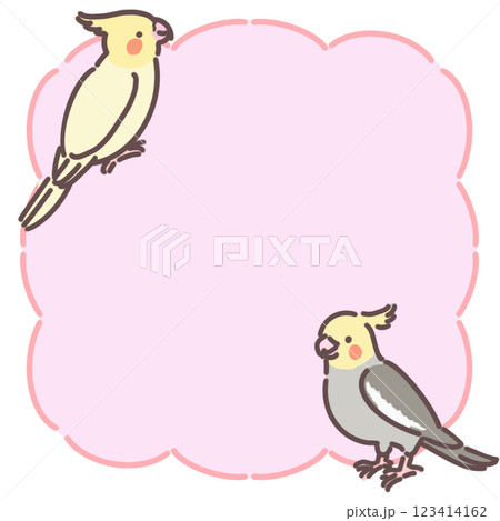 オカメインコ コピースペース オカメインコ コピースペース 123414162