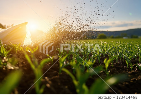 A field of green plants with a white bag of fertilizer in the foreground 123414468