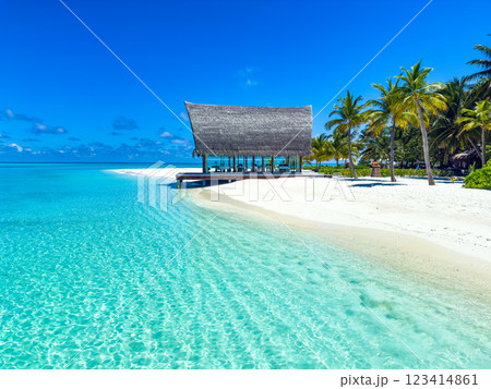 Beach resort in the Maldives, Asia 123414861