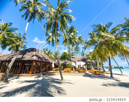 Beach resort in the Maldives, Asia Beach resort in the Maldives, Asia 123414924