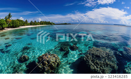vibrant coral reef with clear blue water and tropical beach vibrant coral reef with clear blue water and tropical beach 123416285