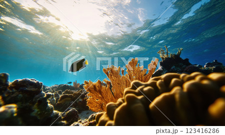 vibrant underwater scene featuring coral reefs and fish swimming gracefully vibrant underwater scene featuring coral reefs and fish swimming gracefully 123416286