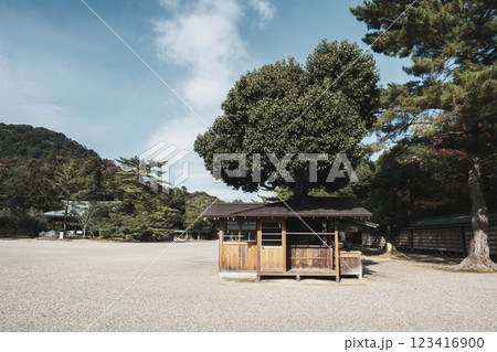 [橿原神宮]歴史的な神社の風景 123416900