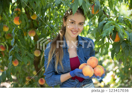 Smiling young woman holding ripe peaches in orchard 123417036