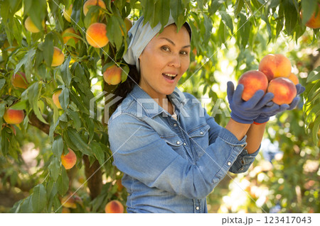 Delighted Asian female gardener holding ripe peaches in garden Delighted Asian female gardener holding ripe peaches in garden 123417043