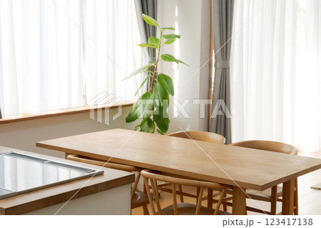 明るいダイニングテーブルと観葉植物 123417138
