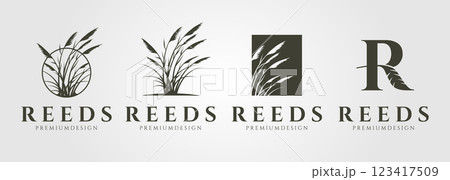 set of vector reed or cattail vintage logo vector illustration design 123417509