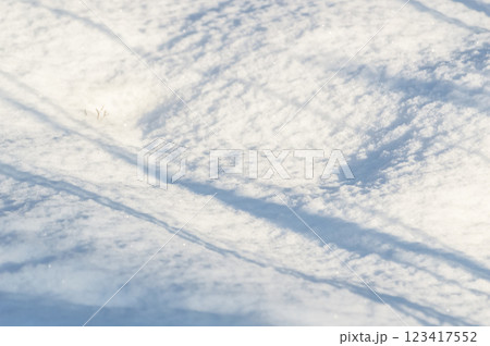Snow texture. Winter background with snowflakes and ice crystals. 123417552