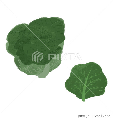 ケールの手描きカラーイラストセット 123417622